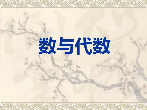 2011版义务教育课程标准：数与代数解读