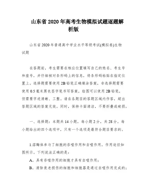 山东省2020年高考生物模拟试题逐题解析版