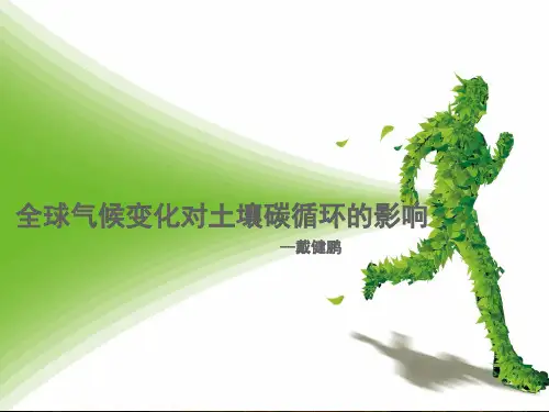 全球气候变化对土壤碳循环的影响