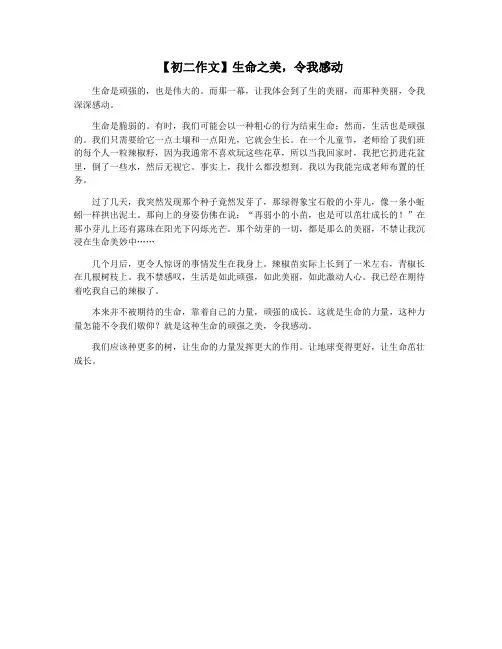 【初二作文】生命之美,令我感动