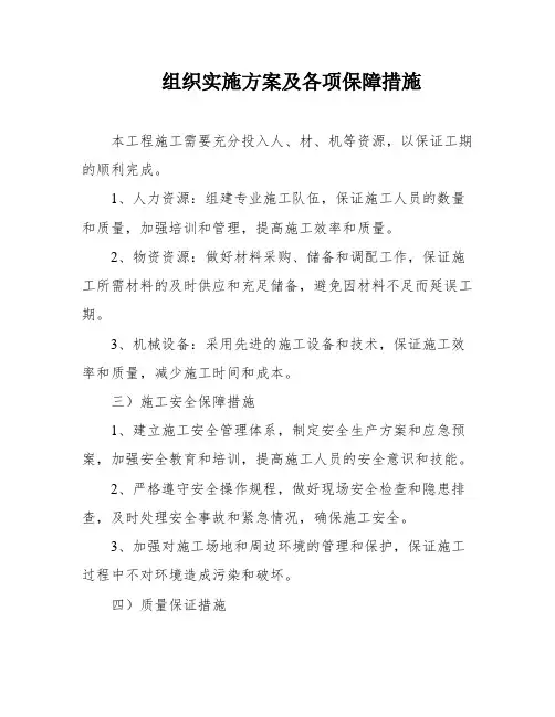 组织实施方案及各项保障措施