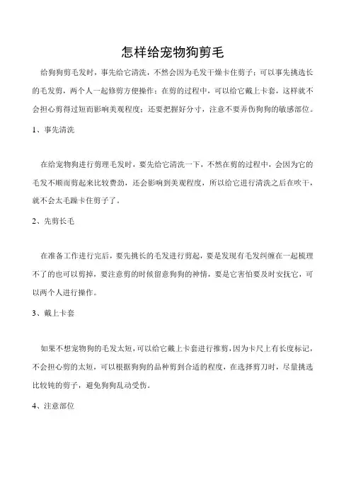 怎样给宠物狗剪毛