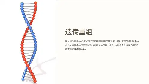 《遗传重组》课件