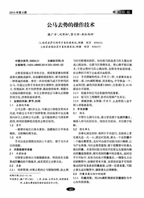 公马去势的操作技术