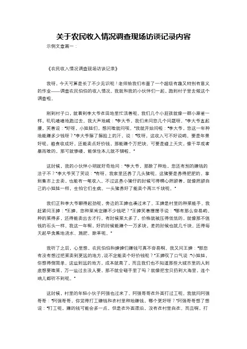 关于农民收入情况调查现场访谈记录内容