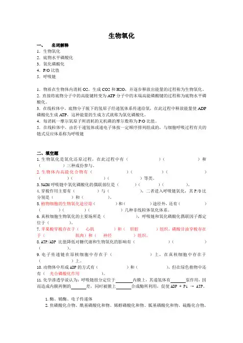 生物氧化试题