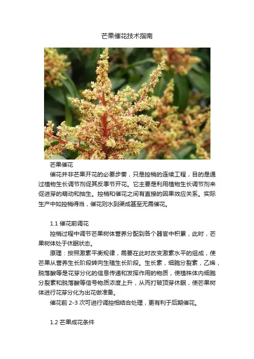 芒果催花技术指南