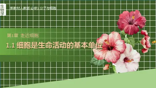 人教版新教材高中生物必修1《分子与细胞》第一章第一节细胞是生命活动的基本单位