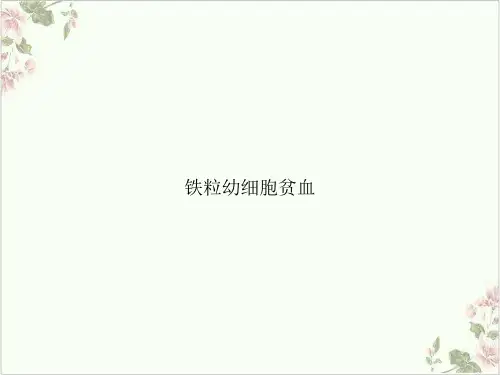 铁粒幼细胞贫血PPT.