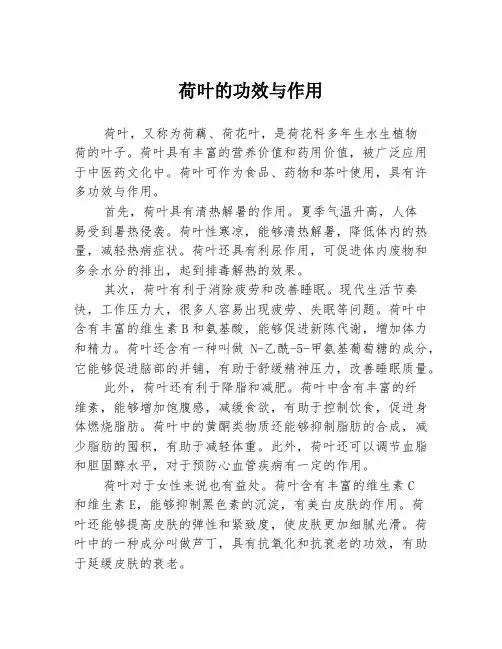 荷叶的功效与作用