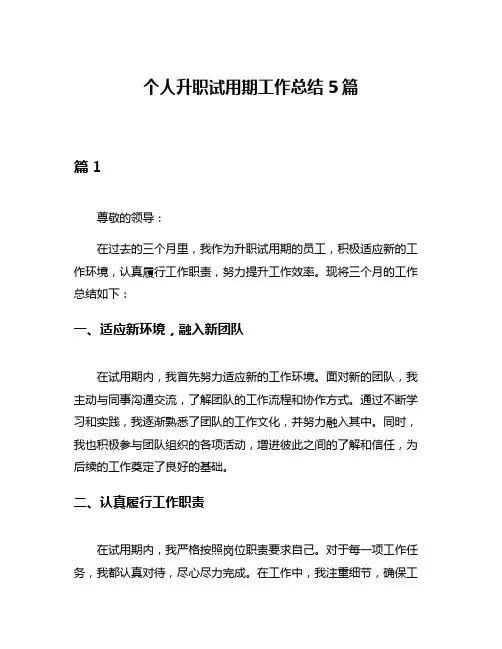 个人升职试用期工作总结5篇