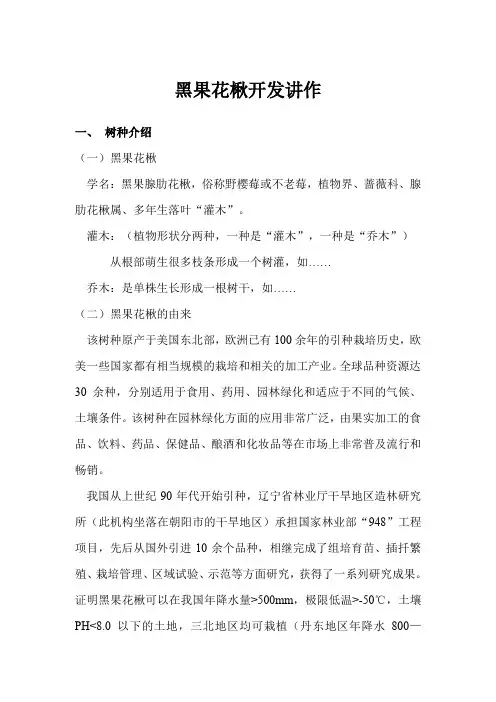黑果花楸开发讲作