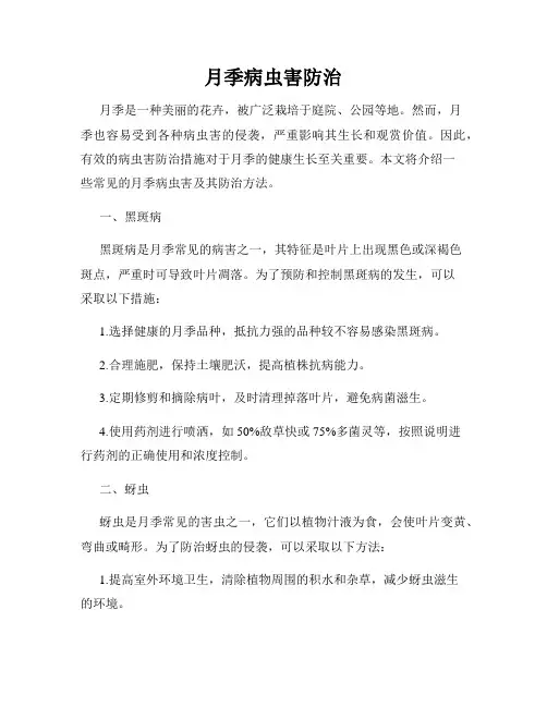 月季病虫害防治