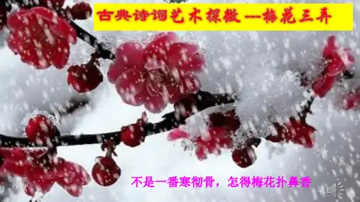 2022届高考复习：诗歌艺术手法梅花三弄 课件33张