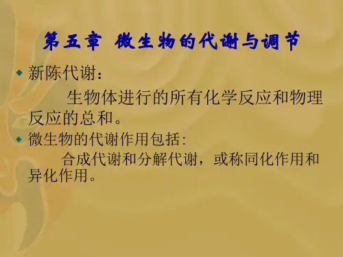 微生物的代谢与调节精选全文