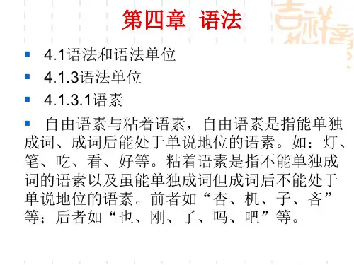 语言学概论讲义第四章  语法二