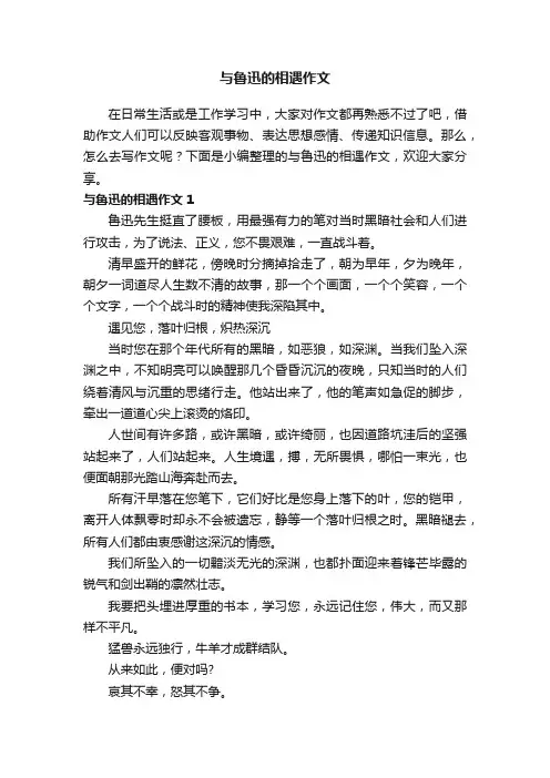 与鲁迅的相遇作文