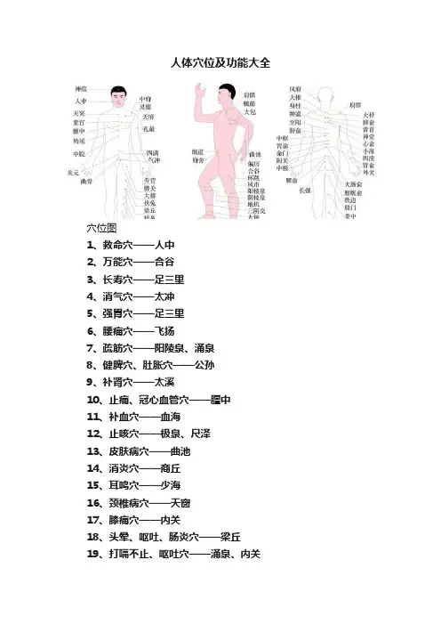 人体穴位及功能大全