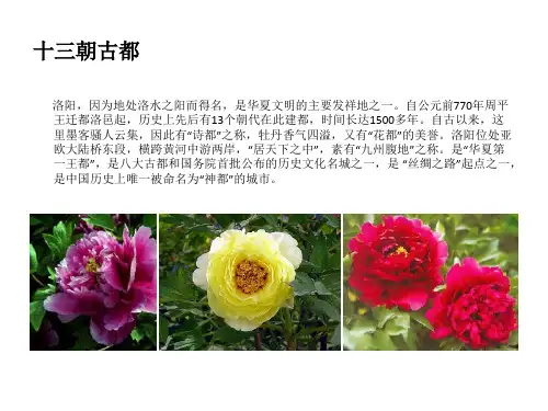 洛阳十三朝古都课件