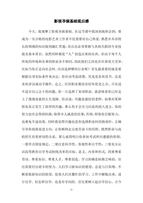 影视导演基础观后感