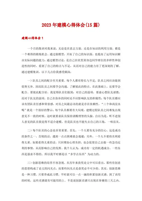 2023年建模心得体会(15篇)