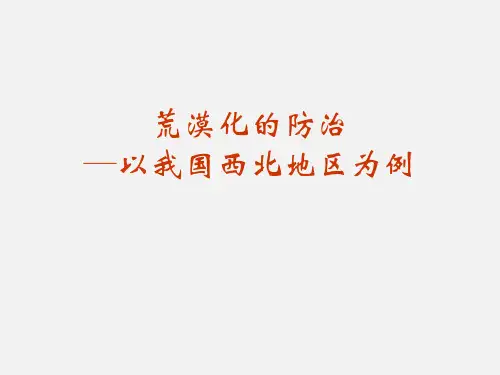 高考地理 复习 荒漠化的防治-以我国西北地区为例