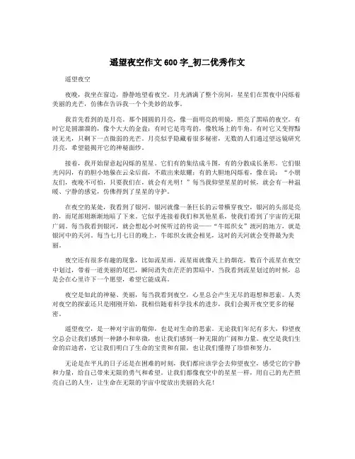 遥望夜空作文600字_初二优秀作文