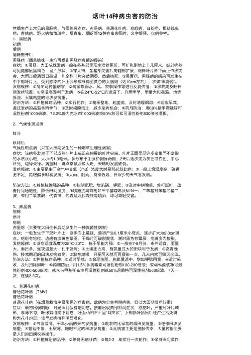 烟叶14种病虫害的防治