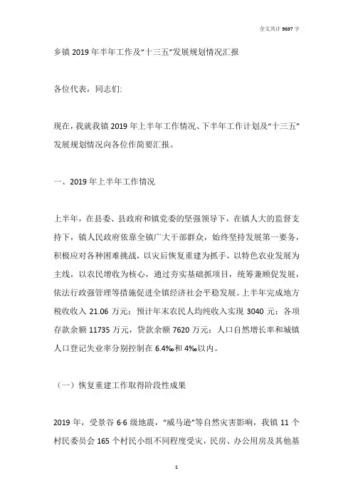 乡镇2019年半年工作及十三五发展规划情况汇报