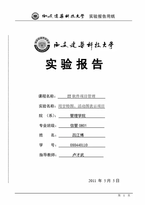 IT项目实验报告