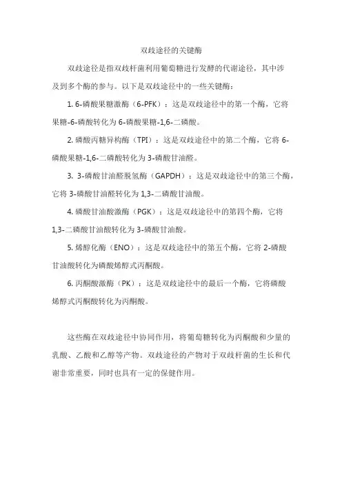 双歧途径的关键酶