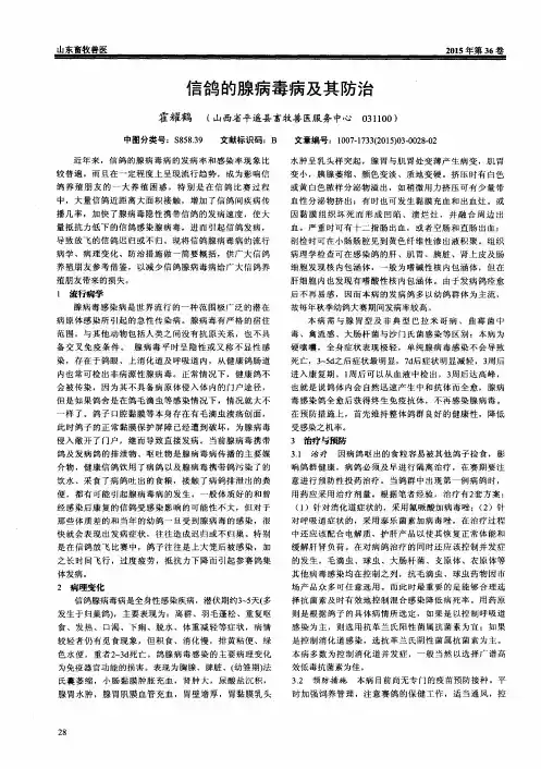 信鸽的腺病毒病及其防治