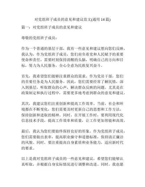 对党组班子成员的意见和建议范文(通用14篇)