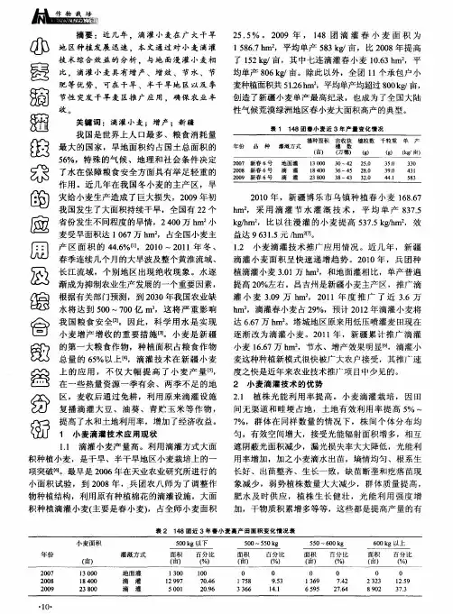 小麦滴灌技术的应用及综合效益分析