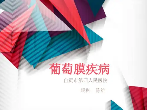 第十二章葡萄膜疾病