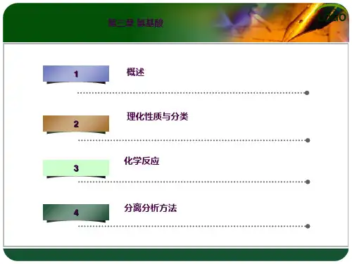 3.1 氨基酸ppt课件