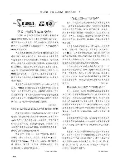 杨凌奏响玉米良种“中国最强音”