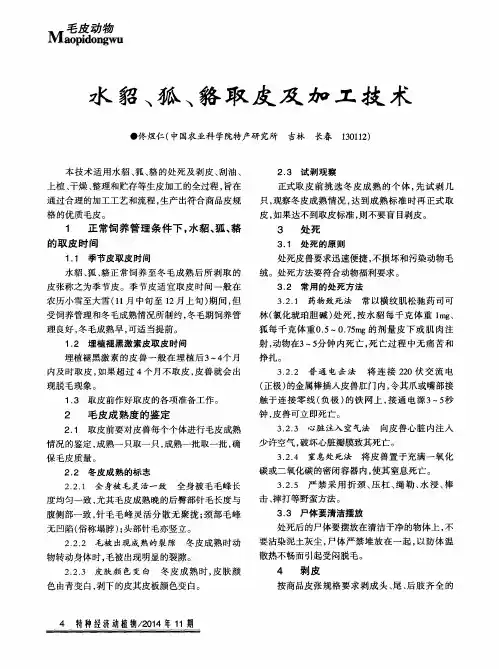 水貂、狐、貉取皮及加工技术