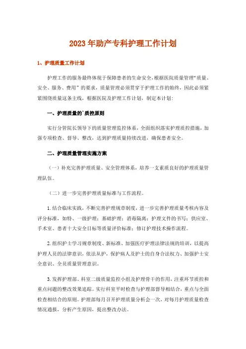 2023年助产专科护理工作计划