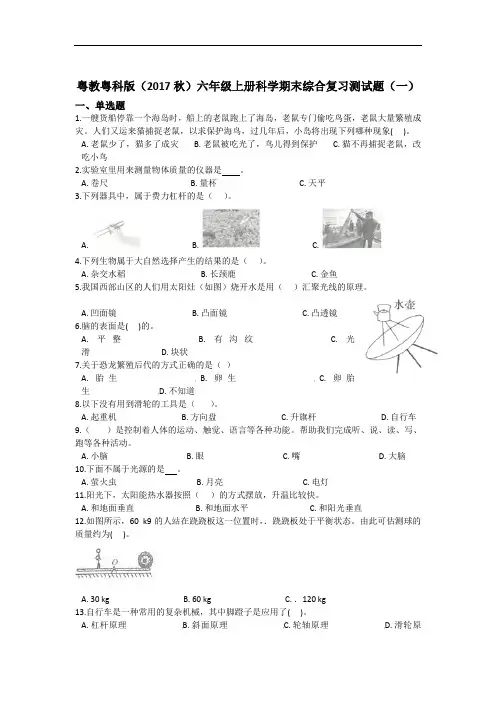 粤教粤科版六年级上册科学期末综合复习测试题3套附答案