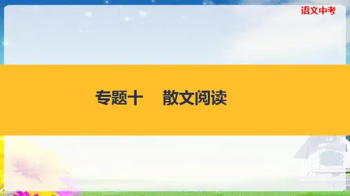中考语文复习资料《散文阅读》课件