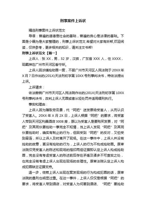 刑事案件上诉状