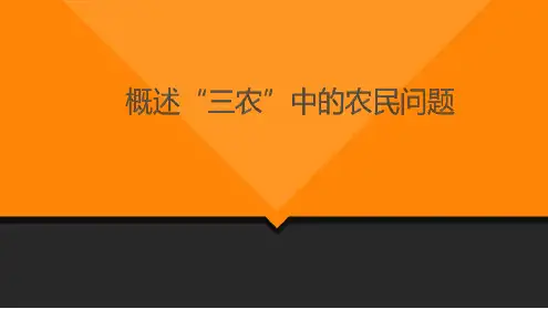 中国农民问题概述资料