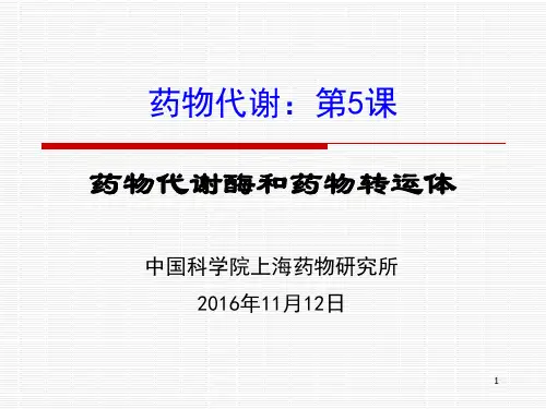 药物代谢 酶和转运体