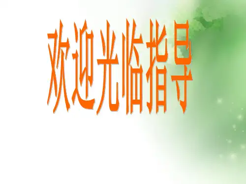 高中历史必修二ppt1(课件+教案) 人民版13