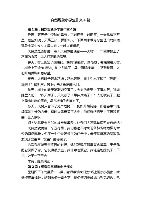 自然现象小学生作文4篇