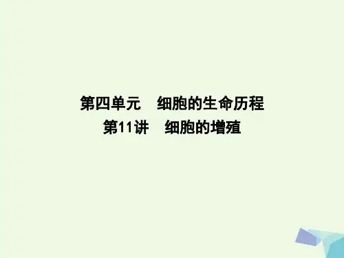 高中生物第四单元细胞的生命历程第11讲细胞的增殖课件名师优质公开课获奖ppt