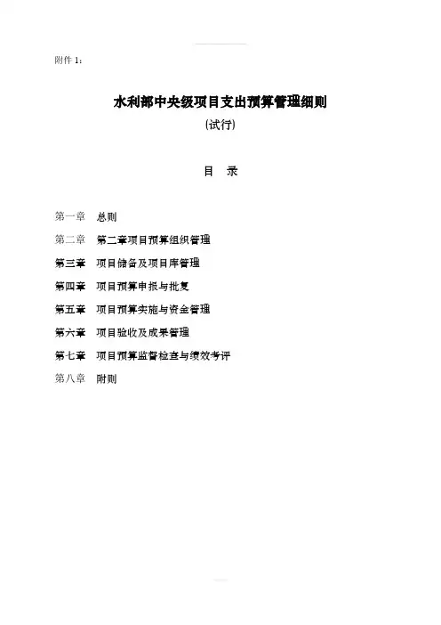 水利部中央级项目支出预算管理细则(试行)