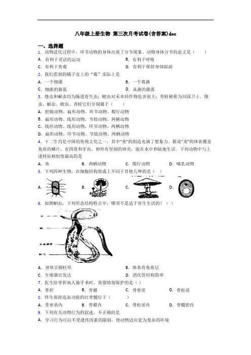 八年级上册生物 第三次月考试卷(含答案)doc