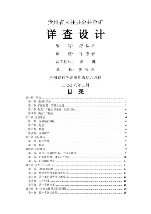洋满冲金矿详查设计
